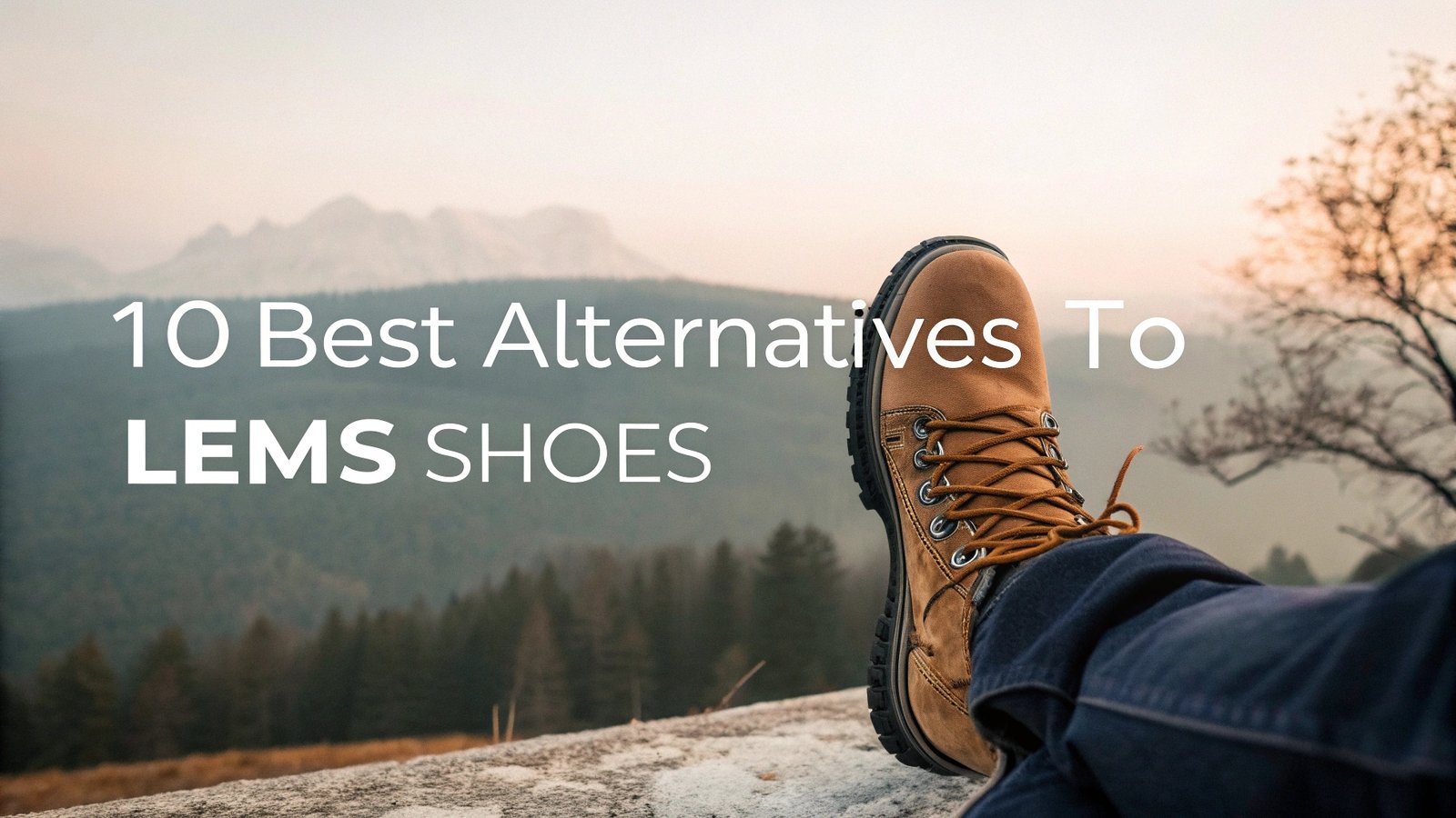 10 Best Alternatives To Lems Shoes: Comfortable Barefoot Options For All Activities